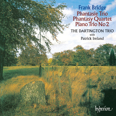 Bridge: Phantasy Piano Quartet in F-Sharp Minor, H. 94: I. Andante con moto/Patrick Ireland／Dartington Piano Trio