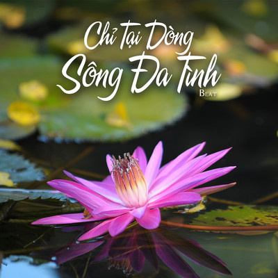 Chi Tai Dong Song Da Tinh (Beat)/NS Records