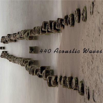 440 Acoustic Waves/Various Artists
