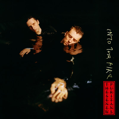 Into The Fire/These New Puritans