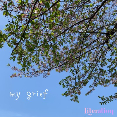 アルバム/my grief/Literation
