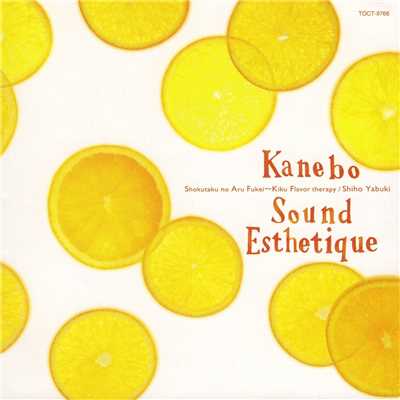 Kanebo Sound Esthetique 6 「食卓のある風景～聴くフレーバーテラピー」/矢吹紫帆
