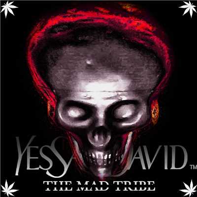アルバム/YES SAN DAVID THE MAD TRIBE/SAN DAVID