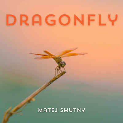 Dragonfly/Matej Smutny