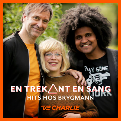 En Trekant En Sang 4 - Hits Hos Brygmann/Various Artists