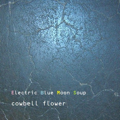 Electric Blue Moon Soup/cowbell flower