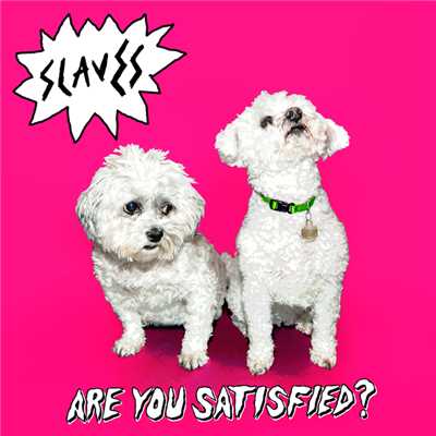 Are You Satisfied？ (Explicit)/Slaves