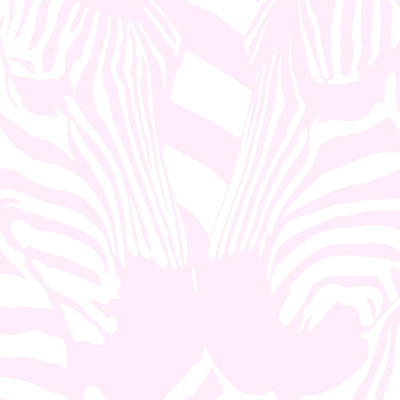 シングル/Zebra/Yuno