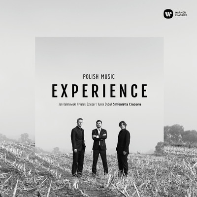 Polish Music Experience/Various Artists