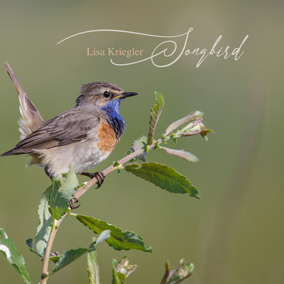 Songbird/Lisa Kriegler