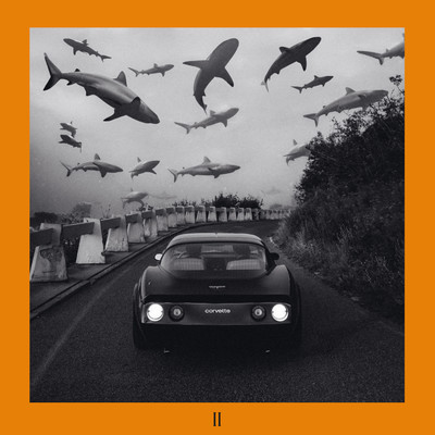 アルバム/Molo II/Paulie Garand & Kenny Rough