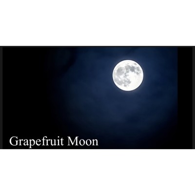 Grapefruit Moon/Fumi feat. 重音テト