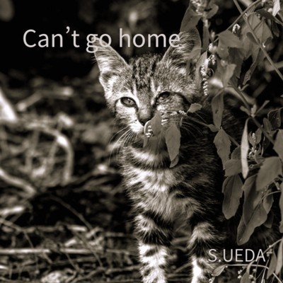 Can't go home/S.UEDA