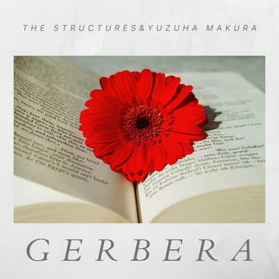 ガーベラ/The Structures & 柚羽まくら