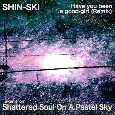 Have You Been A Good Girl (Remix) [feat. Funky DL]/Shin-Ski