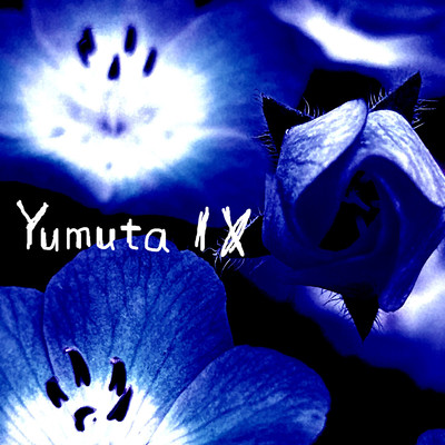 アルバム/Yumuta IX/Yumuta