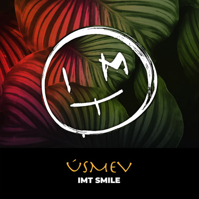 USMEV/IMT Smile