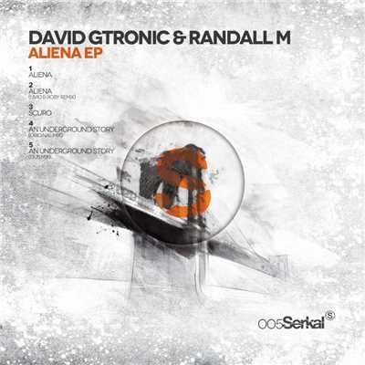 An Underground Story (Exclusive Digital Dub Mix)/David Gtronic & Randall M