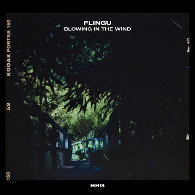 シングル/Blowing In The Wind/Flingu & BRG Beats