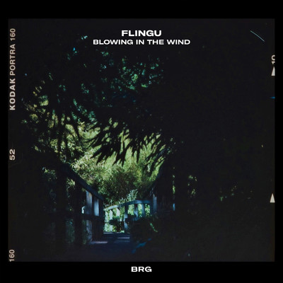 Blowing In The Wind/Flingu & BRG Beats