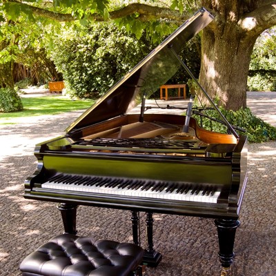 Piano Melody in Serenity/Pianoforte Meditation