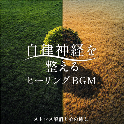 アルバム/自律神経を整えるヒーリングBGM 〜 ストレス解消と心の癒し/SLEEPY NUTS