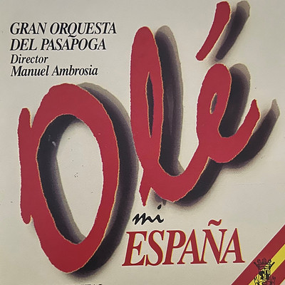 シングル/Viva Navarra/Gran Orquesta del Pasapoga