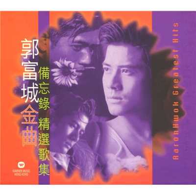 You Are My Everything (Spring Remix)/Aaron Kwok