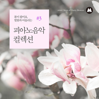 Spring Has Come, the Piano Music Collection for the Cherry Blossom #3/Scent of Cherry Blossom