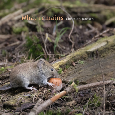 シングル/What remains/Christian Janssen