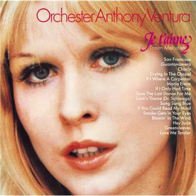 Greensleeves ／ Love Me Tender/Orchester Anthony Ventura
