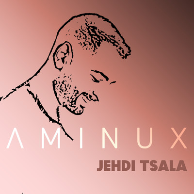 シングル/Jehdi Tsala/Aminux