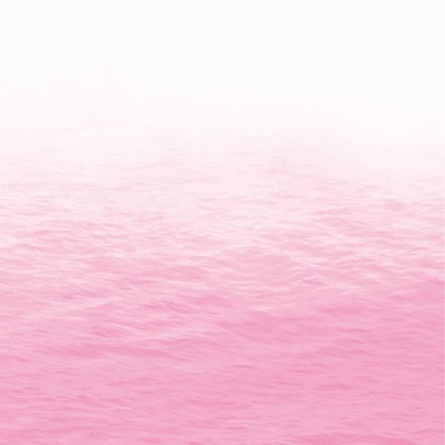 アルバム/Pink/RAY