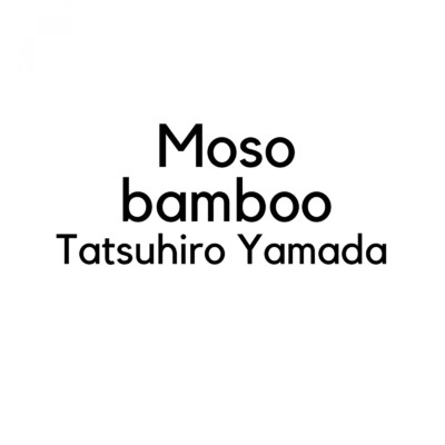 Moso bamboo/山田龍博