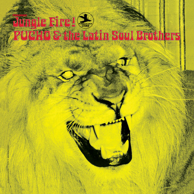 アルバム/Jungle Fire！/Pucho And The Latin Soul Brothers