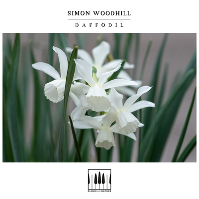 Daffodil/Simon Woodhill