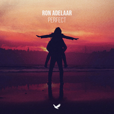 Perfect (Piano Version)/Ron Adelaar