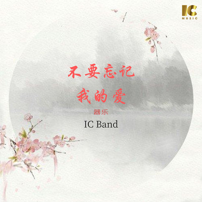 Don't Forget My Love (Instrumental)/IC Band