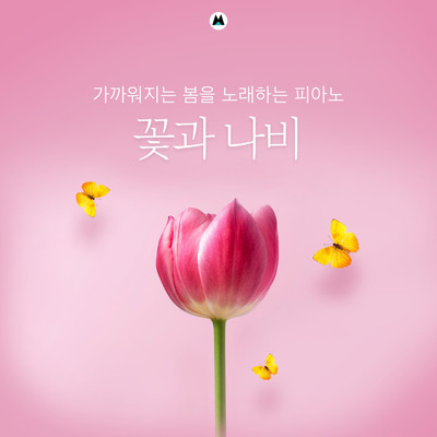 Piano singing for the coming spring (flower and butterfly)/BGM Teacher