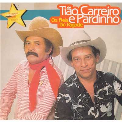 アルバム/Estrela de Ouro (Os Reis do Pagode)/Tiao Carreiro & Pardinho