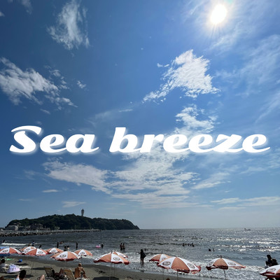 シングル/Sea breeze/秋元 飛鳥