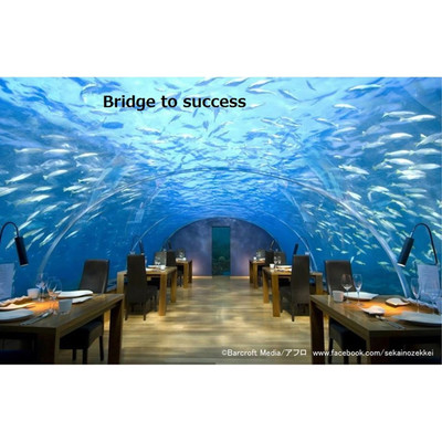 Bridge to success/Hoeitt