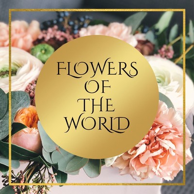 シングル/FLOWERS OF THE WORLD/YUU