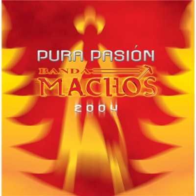 アルバム/Pura pasion/Banda Machos