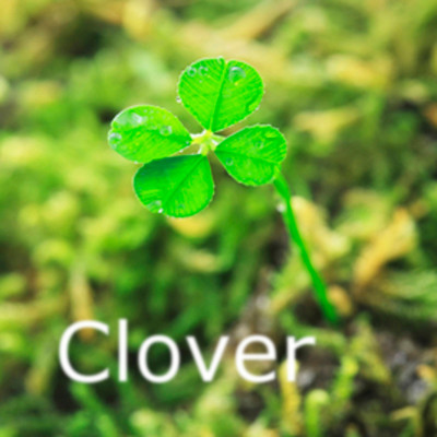 Clover/sou.universe feat. CYBER DIVA