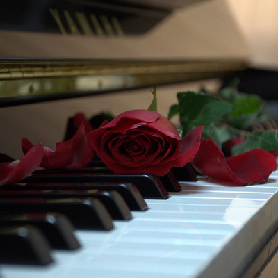 アルバム/waltzes/pianocafe Kumi