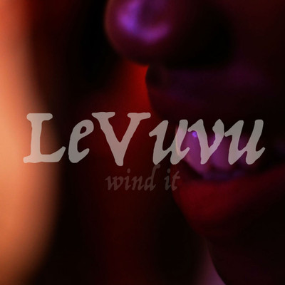Wind it (feat. PrichA) [Radio Edit]/LeVuvu