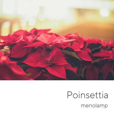 Poinsettia/menolamp