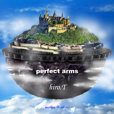 アルバム/perfect arms/hiro.T
