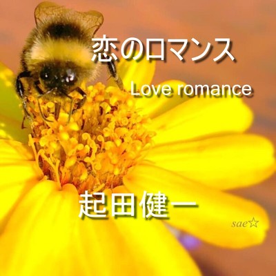 恋のロマンス/起田健一